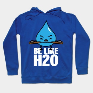 Funny Cute Kawaii Martial Arts Be like Water Retro Quote Meme Hoodie